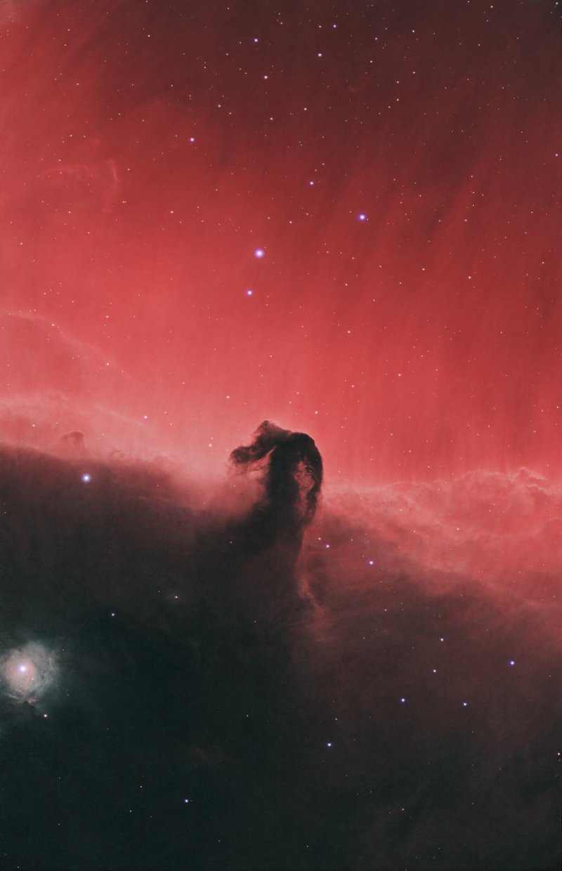 Horsehead