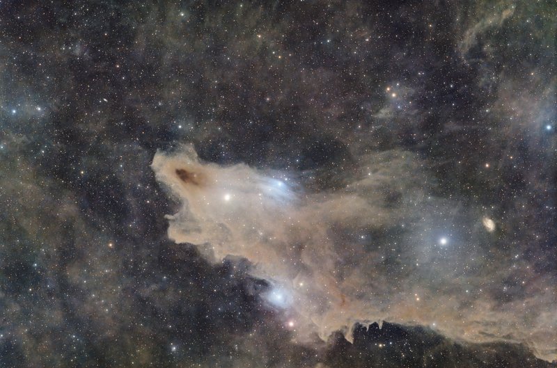 LDN1235, The Shark Nebula