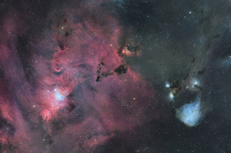 NGC2264 聖誕樹星雲
